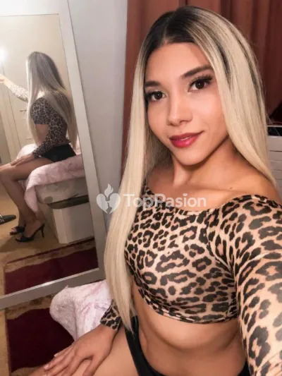 Monica Fiestera